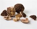 black walnut